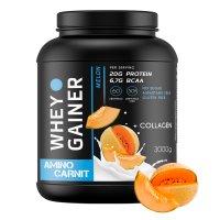 AminoCarnit Whey Gainer 3000 гр. дыня AminoCarnit Whey Gainer 3000 гр. дыня