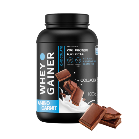 AminoCarnit Whey Gainer 1000 гр. шоколад