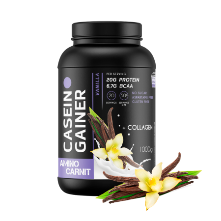 AminoCarnit Casein Gainer 1000 гр. ваниль