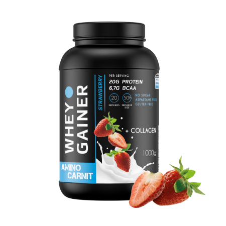 AminoCarnit Whey Gainer 1000 гр. клубника