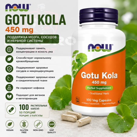 NOW Gotu Kola 450 mg 100 vegcaps